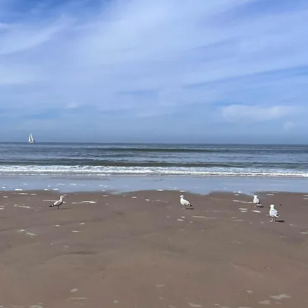 & Sail - Nieuw Met Zeezicht Ostende