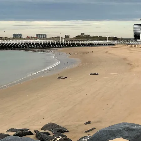 & Sail - Nieuw Met Zeezicht Apartmán Ostende